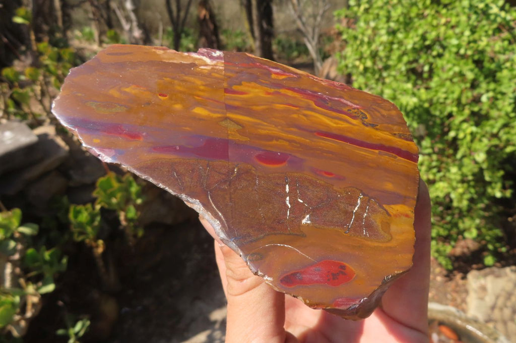 Polished On One Side Nguni Jasper Specimens x 2 From Prieska, South Africa - Toprock Gemstones and Minerals 