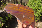 Polished On One Side Nguni Jasper Specimens x 2 From Prieska, South Africa - Toprock Gemstones and Minerals 