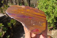 Polished On One Side Nguni Jasper Specimens x 2 From Prieska, South Africa - Toprock Gemstones and Minerals 
