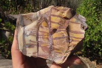 Polished On One Side Nguni Jasper Specimens x 2 From Prieska, South Africa - Toprock Gemstones and Minerals 