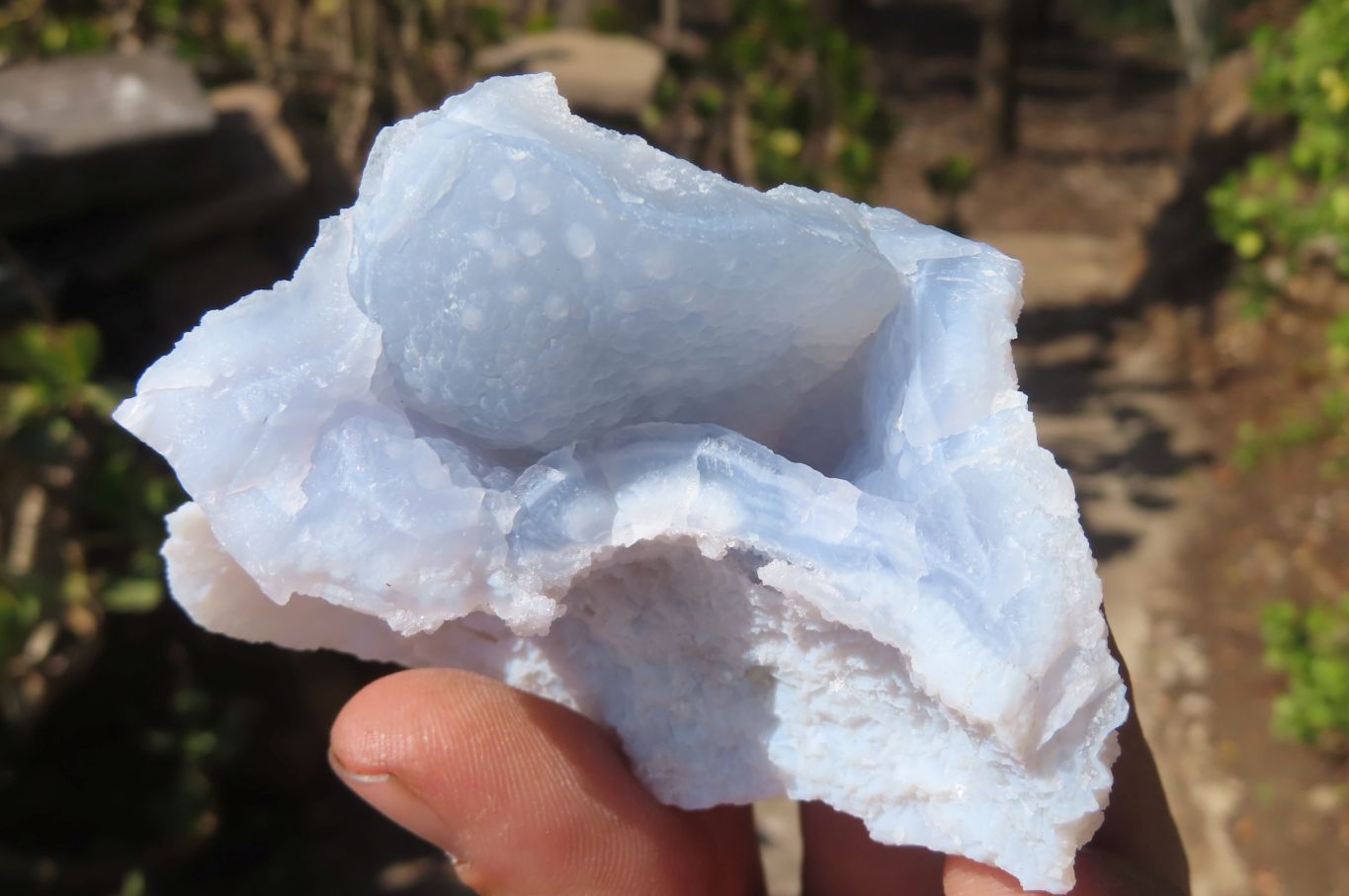 Natural Etched Blue Chalcedony Specimens x 12 From Nsanje, Malawi - Toprock Gemstones and Minerals 