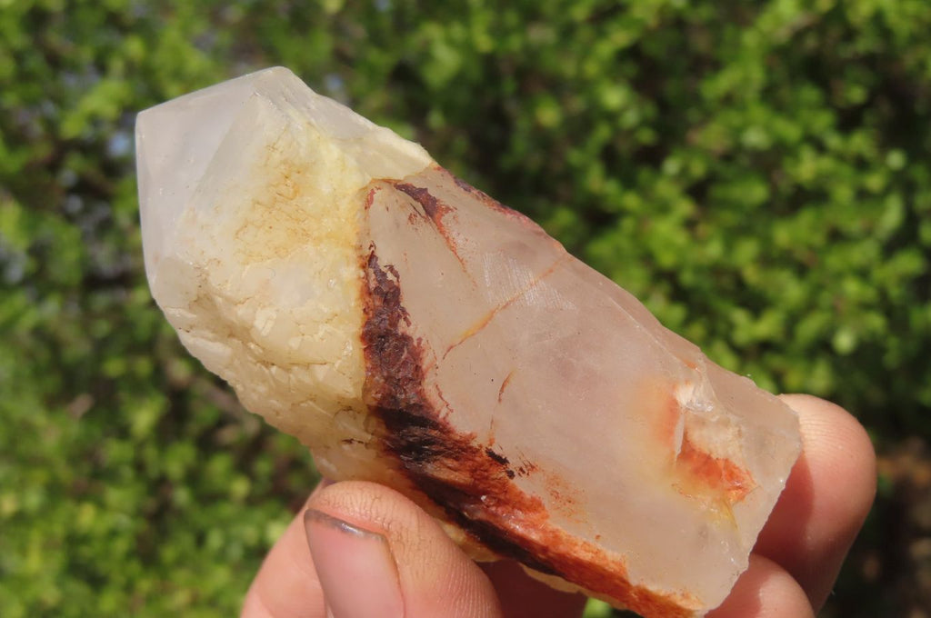 Polished Pineapple Candle Quartz Single Crystals x 12 From Antsirabe, Madagascar - Toprock Gemstones and Minerals 