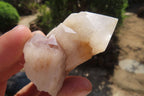 Polished Pineapple Candle Quartz Single Crystals x 12 From Antsirabe, Madagascar - Toprock Gemstones and Minerals 