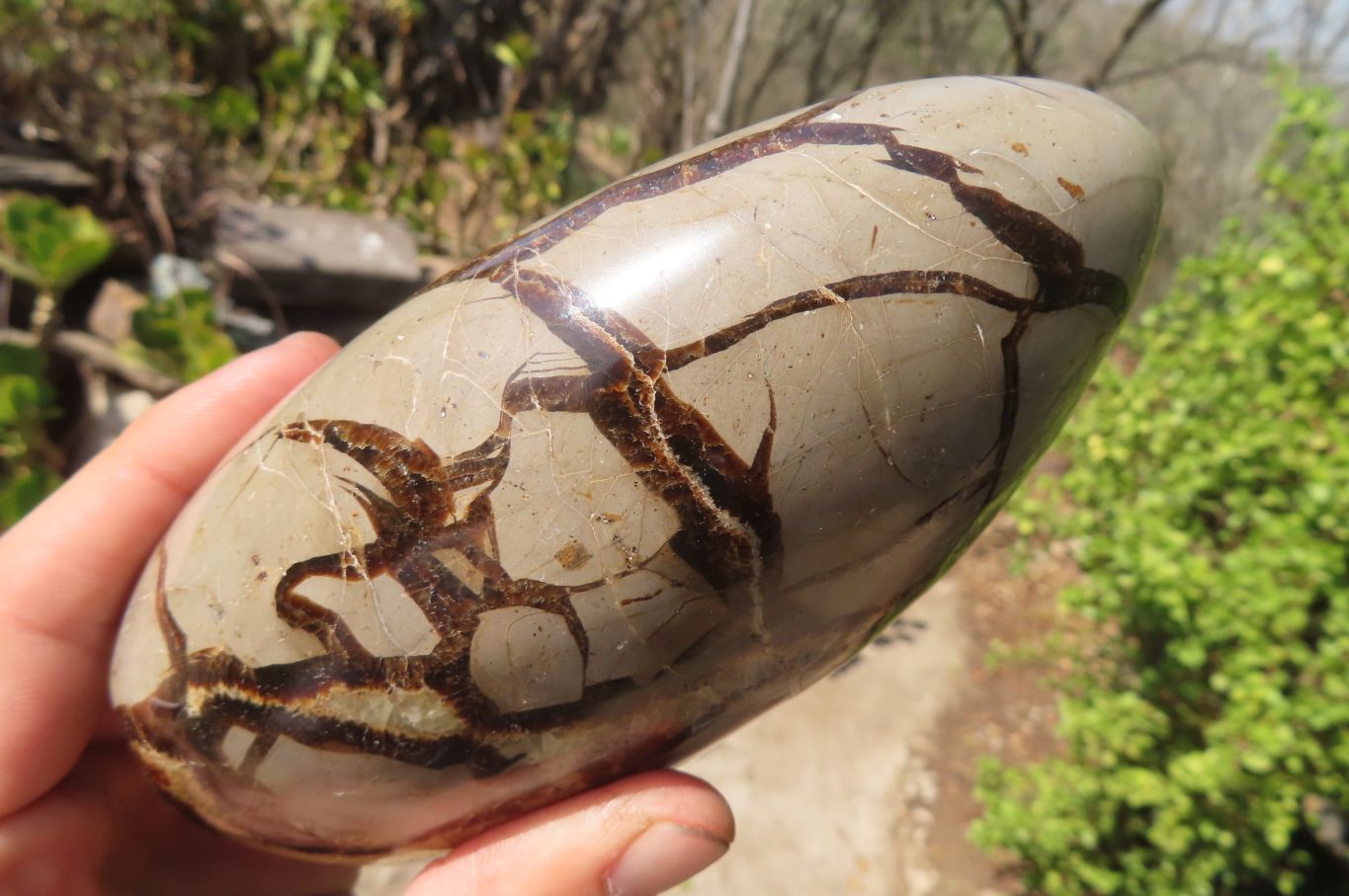 Polished Septerye Standing Free Forms x 2 From Mahajanga, Madagascar - Toprock Gemstones and Minerals 
