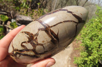 Polished Septerye Standing Free Forms x 2 From Mahajanga, Madagascar - Toprock Gemstones and Minerals 