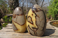 Polished Septerye Standing Free Forms x 2 From Mahajanga, Madagascar - Toprock Gemstones and Minerals 