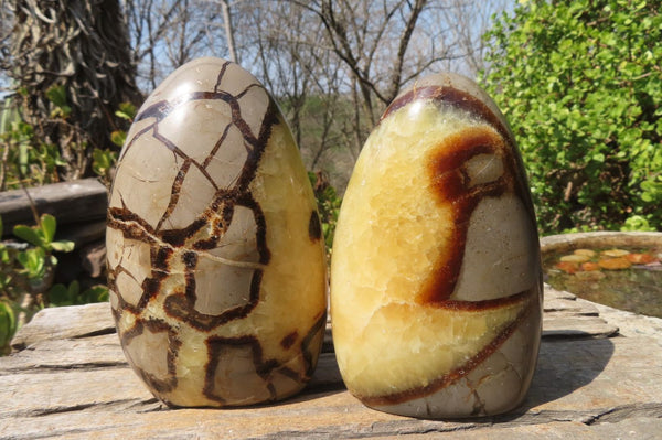 Polished Septerye Standing Free Forms x 2 From Mahajanga, Madagascar - Toprock Gemstones and Minerals 