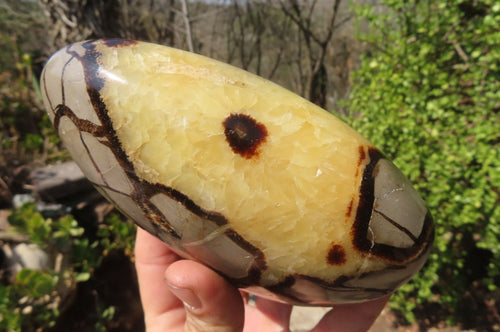 Polished Septerye Standing Free Forms x 2 From Mahajanga, Madagascar - Toprock Gemstones and Minerals 