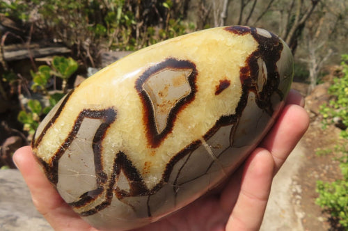 Polished Septerye Standing Free Forms x 2 From Mahajanga, Madagascar - Toprock Gemstones and Minerals 