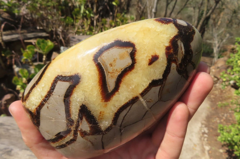 Polished Septerye Standing Free Forms x 2 From Mahajanga, Madagascar - Toprock Gemstones and Minerals 