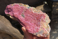 Natural Salrose Cobaltion Dolomite Specimens x 4 From Congo - Toprock Gemstones and Minerals 