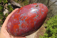 Polished Red Jasper Standing Free Form x 1 From Madagascar - Toprock Gemstones and Minerals 