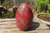 Polished Red Jasper Standing Free Form x 1 From Madagascar - Toprock Gemstones and Minerals 