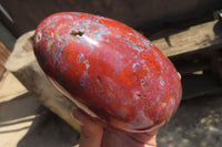 Polished Red Jasper Standing Free Form x 1 From Madagascar - Toprock Gemstones and Minerals 