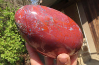 Polished Red Jasper Standing Free Form x 1 From Madagascar - Toprock Gemstones and Minerals 