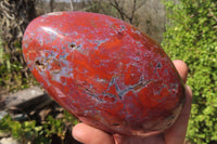 Polished Red Jasper Standing Free Form x 1 From Madagascar - Toprock Gemstones and Minerals 