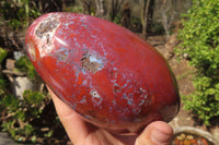 Polished Red Jasper Standing Free Form x 1 From Madagascar - Toprock Gemstones and Minerals 