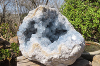 Natural Celestite Geode Specimen x 1 From Sakoany, Madagascar - Toprock Gemstones and Minerals 