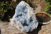 Natural Celestite Geode Specimen x 1 From Sakoany, Madagascar - Toprock Gemstones and Minerals 