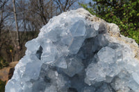 Natural Celestite Geode Specimen x 1 From Sakoany, Madagascar - Toprock Gemstones and Minerals 