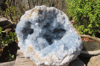 Natural Celestite Geode Specimen x 1 From Sakoany, Madagascar - Toprock Gemstones and Minerals 