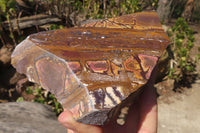 Polished On One Side Nguni Jasper Specimens x 2 From Prieska, South Africa - Toprock Gemstones and Minerals 