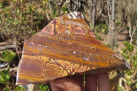 Polished On One Side Nguni Jasper Specimens x 2 From Prieska, South Africa - Toprock Gemstones and Minerals 
