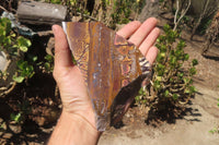 Polished On One Side Nguni Jasper Specimens x 2 From Prieska, South Africa - Toprock Gemstones and Minerals 