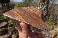 Polished On One Side Nguni Jasper Specimens x 2 From Prieska, South Africa - Toprock Gemstones and Minerals 