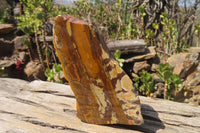 Polished On One Side Nguni Jasper Specimens x 2 From Prieska, South Africa - Toprock Gemstones and Minerals 
