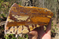 Polished On One Side Nguni Jasper Specimens x 2 From Prieska, South Africa - Toprock Gemstones and Minerals 