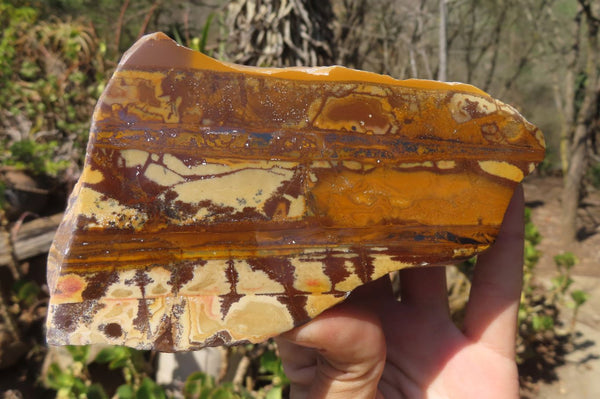 Polished On One Side Nguni Jasper Specimens x 2 From Prieska, South Africa - Toprock Gemstones and Minerals 