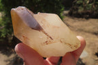 Natural Hematoid Quartz Specimens x 12 From Karoi, Zimbabwe - Toprock Gemstones and Minerals 