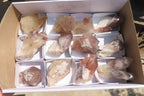 Natural Hematoid Quartz Specimens x 12 From Karoi, Zimbabwe - Toprock Gemstones and Minerals 