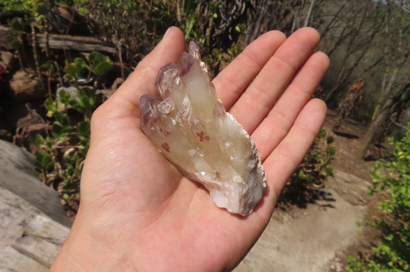Natural Hematoid Quartz Specimens x 12 From Karoi, Zimbabwe - Toprock Gemstones and Minerals 