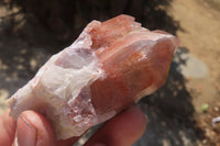 Natural Hematoid Quartz Specimens x 12 From Karoi, Zimbabwe - Toprock Gemstones and Minerals 