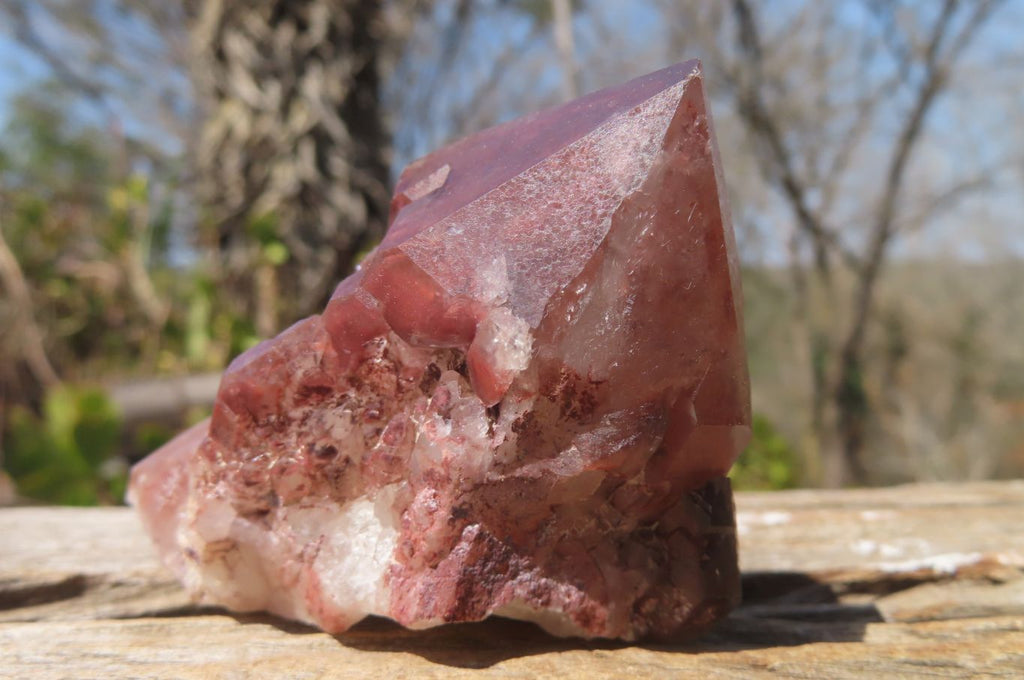 Natural Hematoid Quartz Specimens x 12 From Karoi, Zimbabwe - Toprock Gemstones and Minerals 