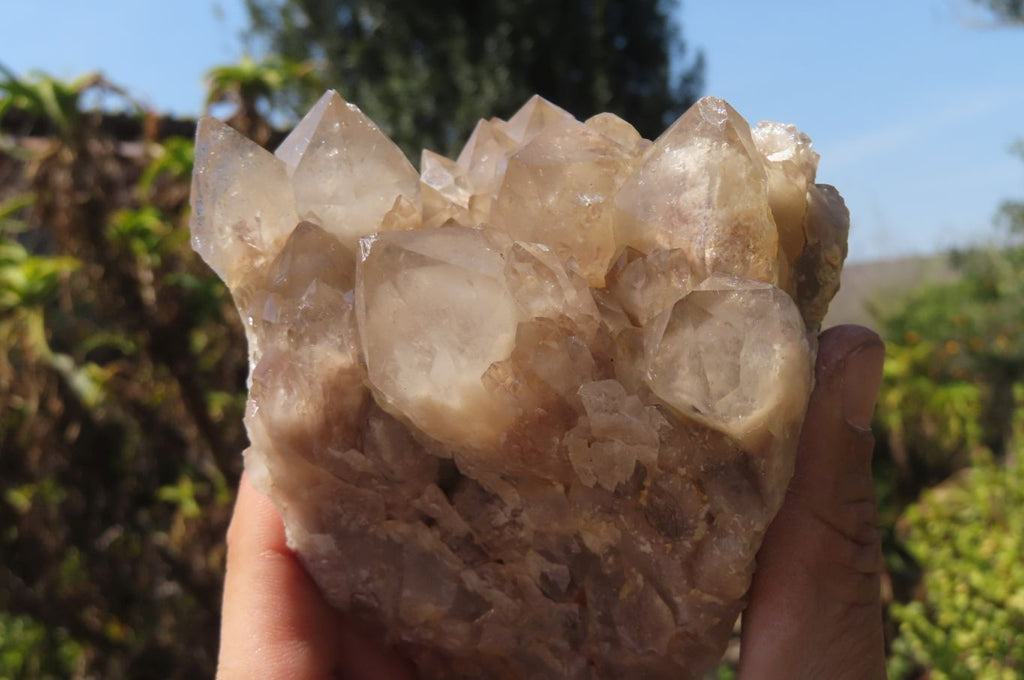 Natural Smokey Quartz Clusters x 2 From Luena, Congo - Toprock Gemstones and Minerals 