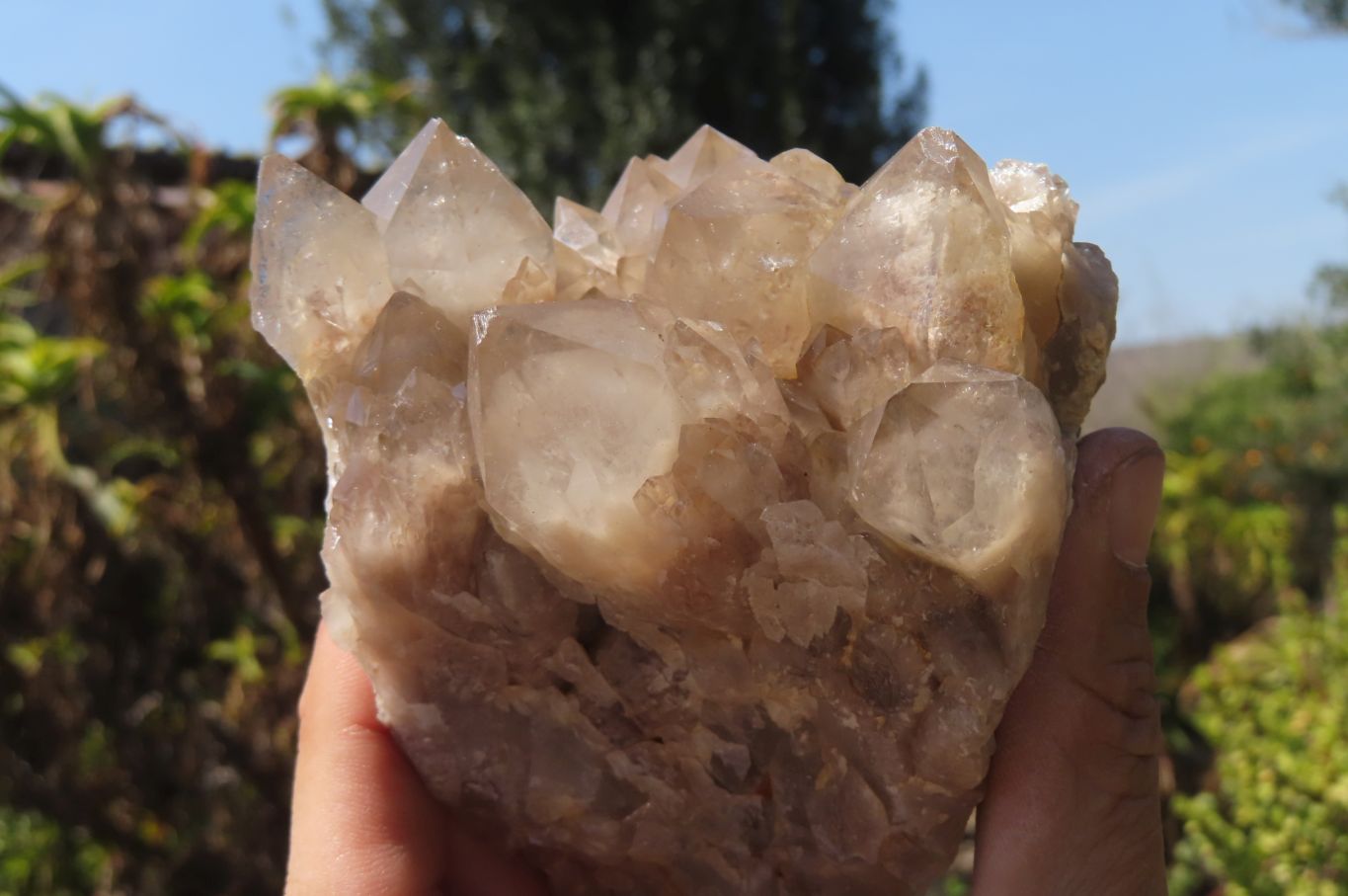 Natural Smokey Quartz Clusters x 2 From Luena, Congo - Toprock Gemstones and Minerals 