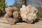 Natural Smokey Quartz Clusters x 2 From Luena, Congo - Toprock Gemstones and Minerals 