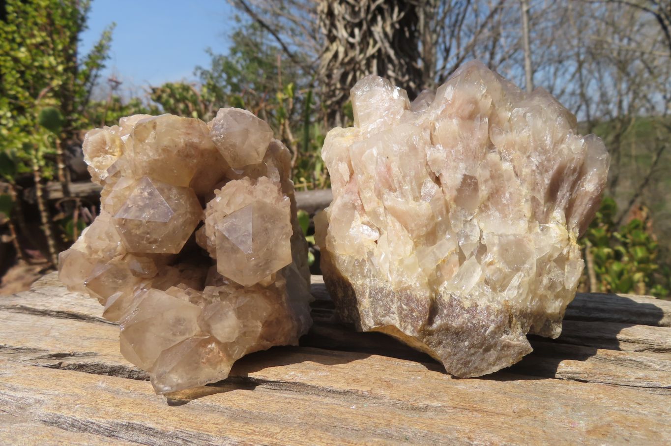 Natural Smokey Quartz Clusters x 2 From Luena, Congo - Toprock Gemstones and Minerals 