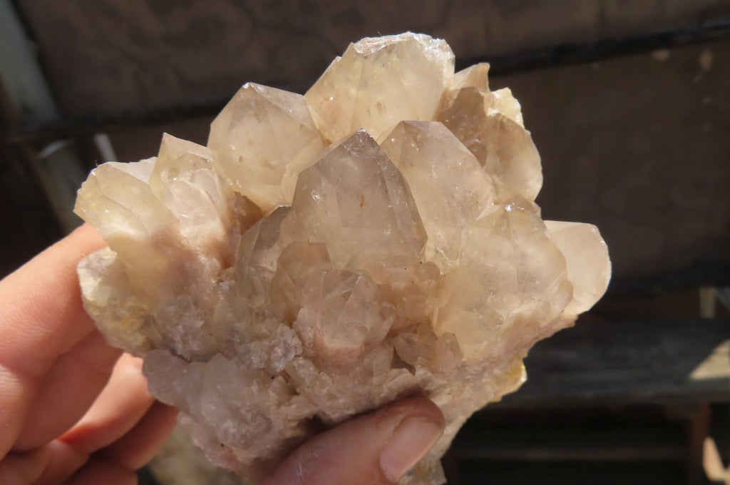 Natural Smokey Quartz Clusters x 2 From Luena, Congo - Toprock Gemstones and Minerals 