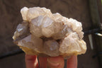 Natural Smokey Quartz Clusters x 2 From Luena, Congo - Toprock Gemstones and Minerals 