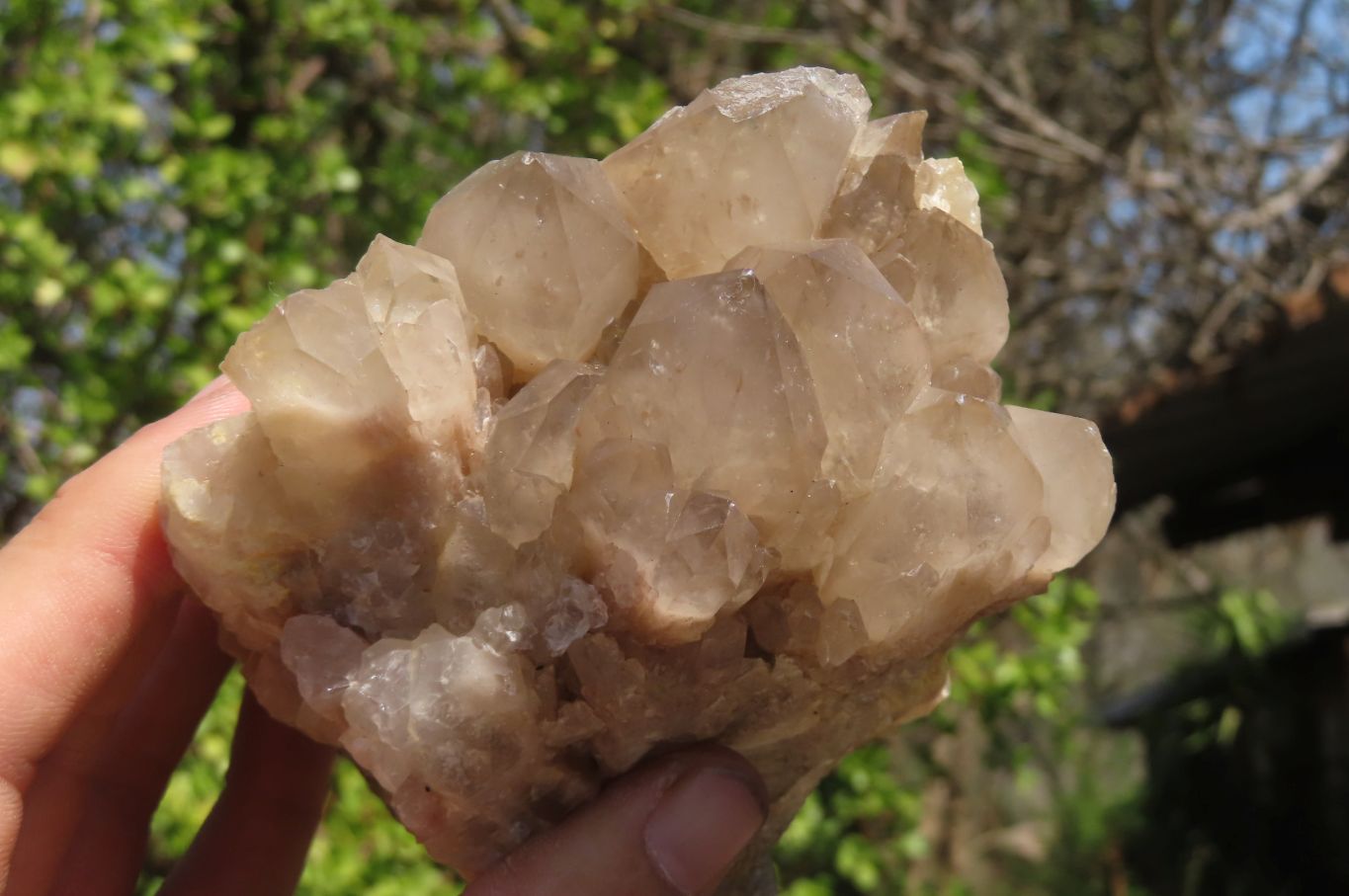 Natural Smokey Quartz Clusters x 2 From Luena, Congo - Toprock Gemstones and Minerals 