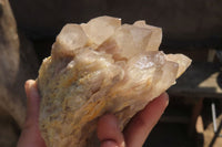 Natural Smokey Quartz Clusters x 2 From Luena, Congo - Toprock Gemstones and Minerals 