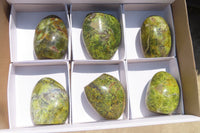 Polished Green Opal Standing Free Forms x 6 From Antsirabe, Madagascar - Toprock Gemstones and Minerals 