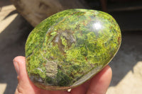 Polished Green Opal Standing Free Forms x 6 From Antsirabe, Madagascar - Toprock Gemstones and Minerals 
