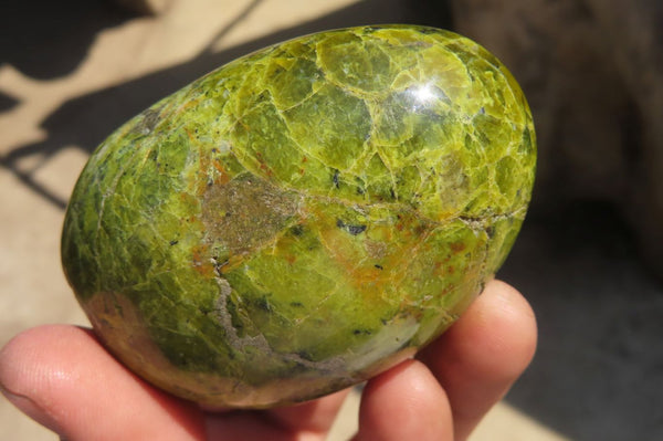 Polished Green Opal Standing Free Forms x 6 From Antsirabe, Madagascar - Toprock Gemstones and Minerals 