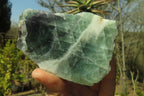 Polished On One Side Watermelon Fluorite Specimens x 4 From Namibia - Toprock Gemstones and Minerals 