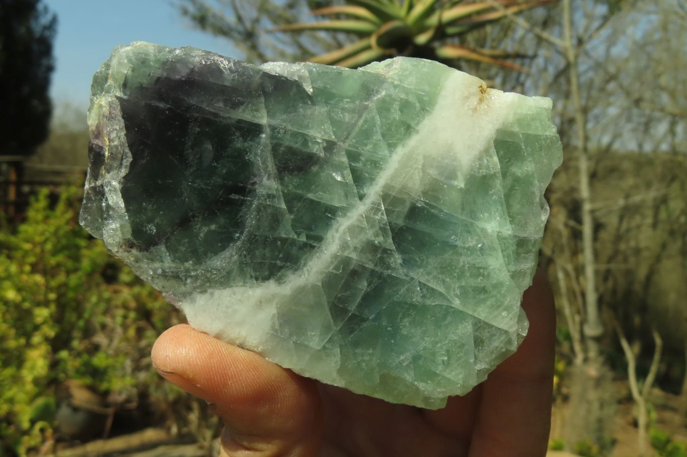 Polished On One Side Watermelon Fluorite Specimens x 4 From Namibia - Toprock Gemstones and Minerals 